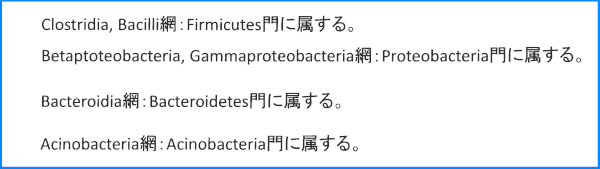 網の種類