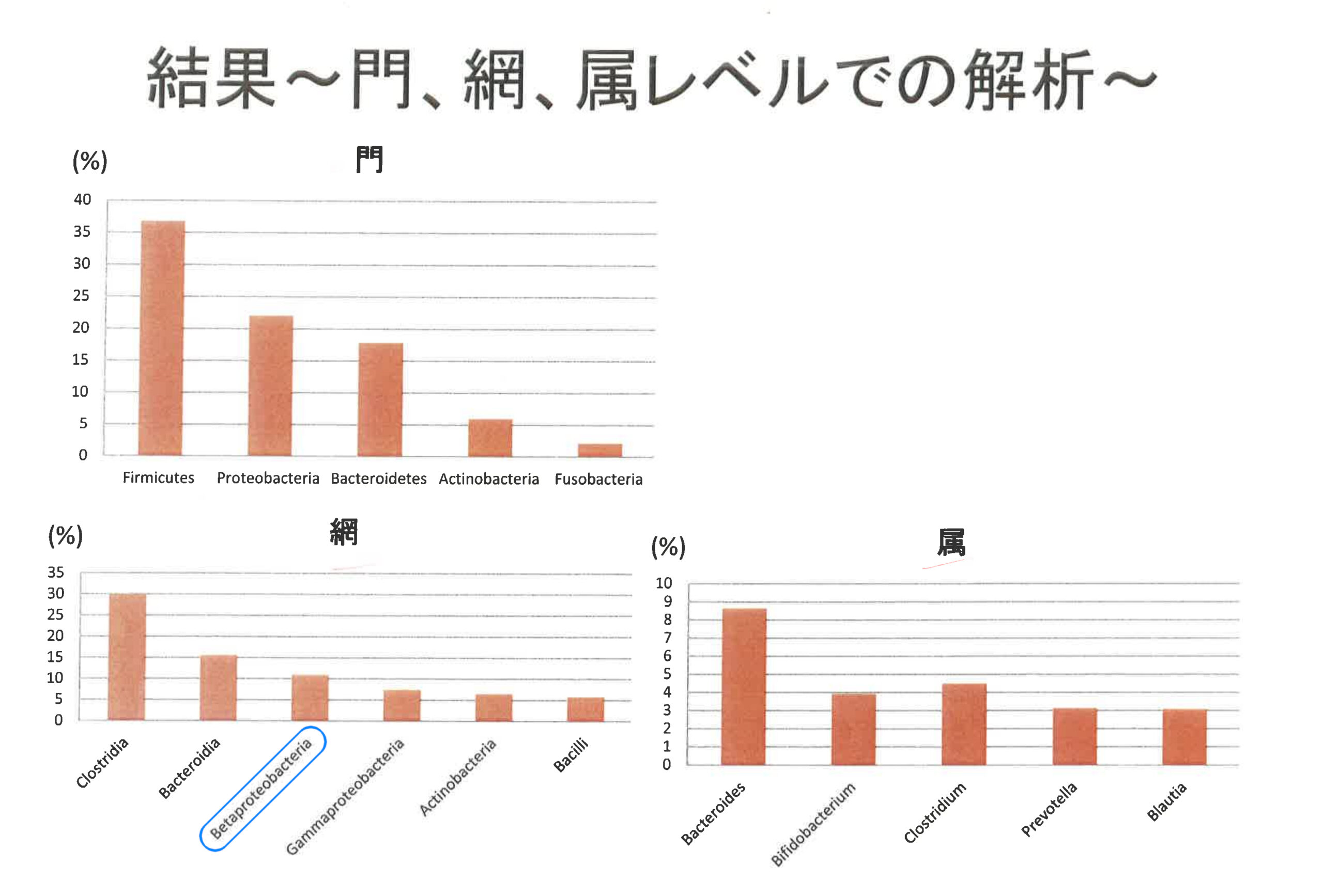 解析_門網属