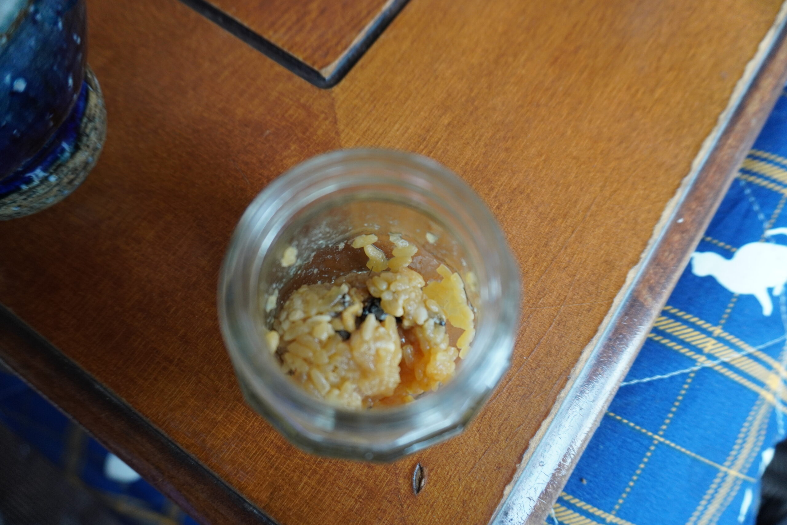 発酵ごはん