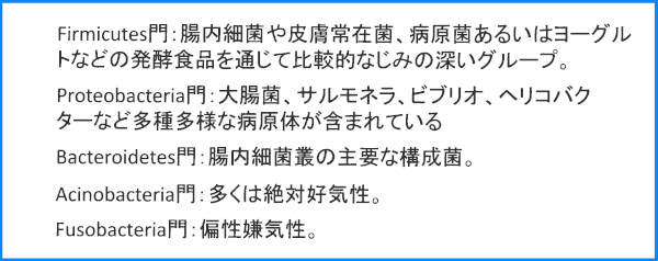 門の種類