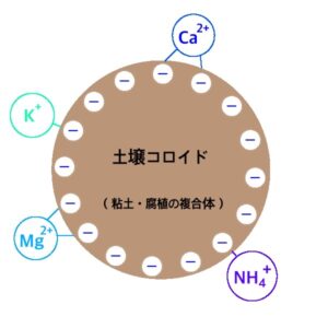 土壌コロイド